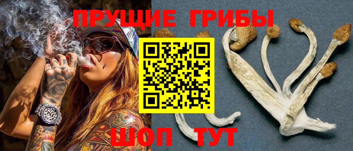 Псилоцибиновые грибы Magic Shrooms Тосно