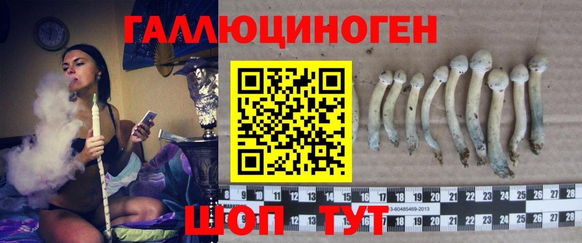 Галлюциногенные грибы Psilocybine cubensis  Вход с VPN  Тосно 